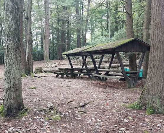 Five Mile Point Group Campground