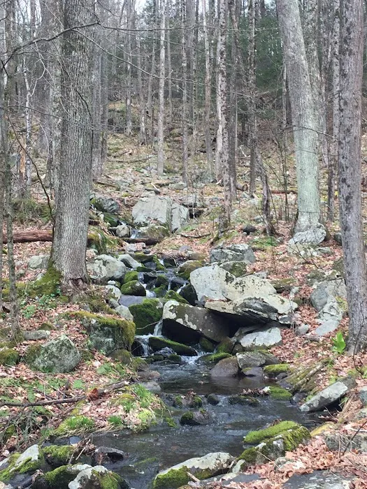 Ledgedale Recreation Area 4