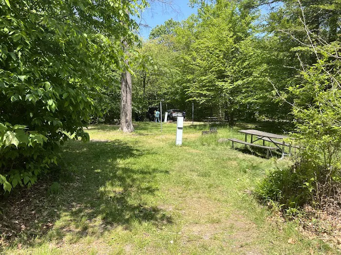 Lower Lake Campground 1