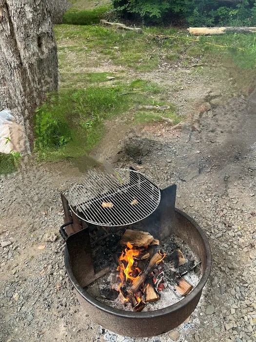 Lower Lake Campground 2