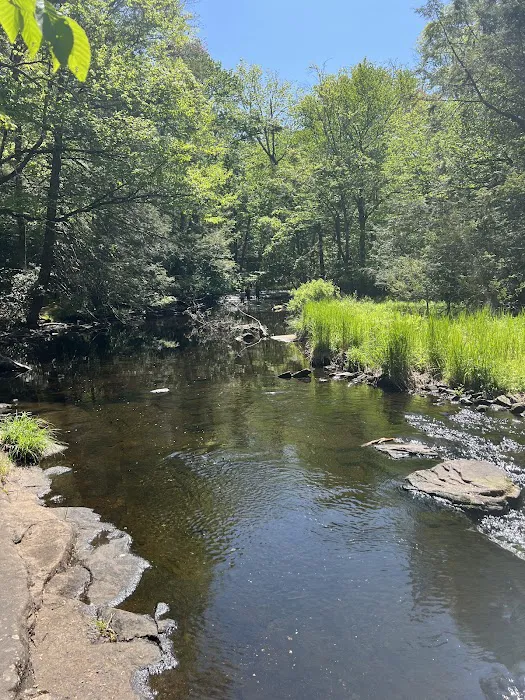 Lower Lake Campground 3