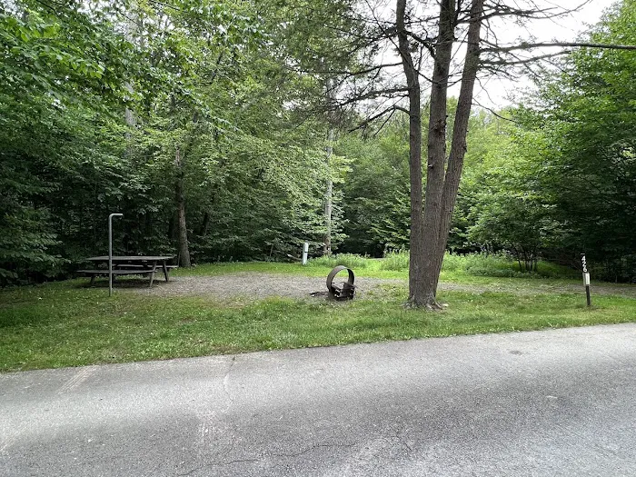 Lower Lake Campground 4