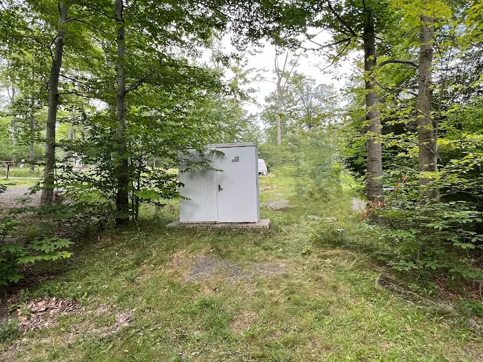 Lower Lake Campground 7