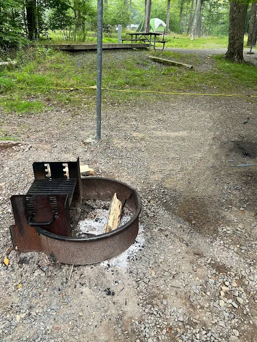Lower Lake Campground 6