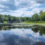 Promised Land State Park Beechwood Camping Area
