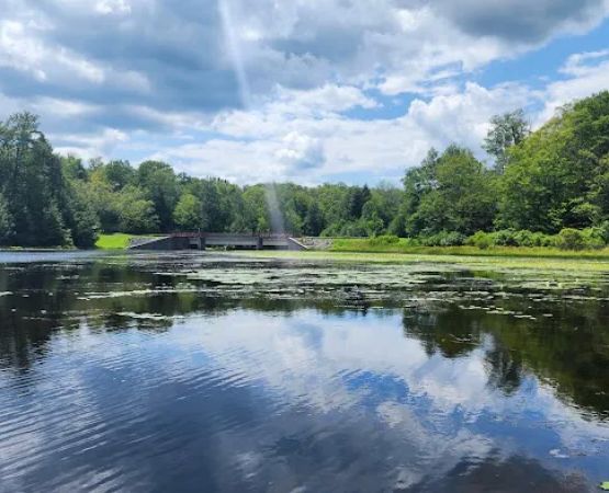 Promised Land State Park Beechwood Camping Area