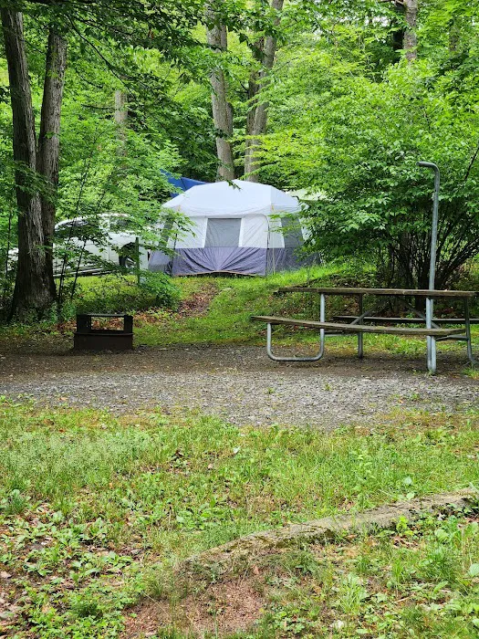 Northwoods Campground 3