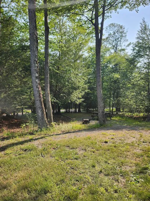 Northwoods Campground 8