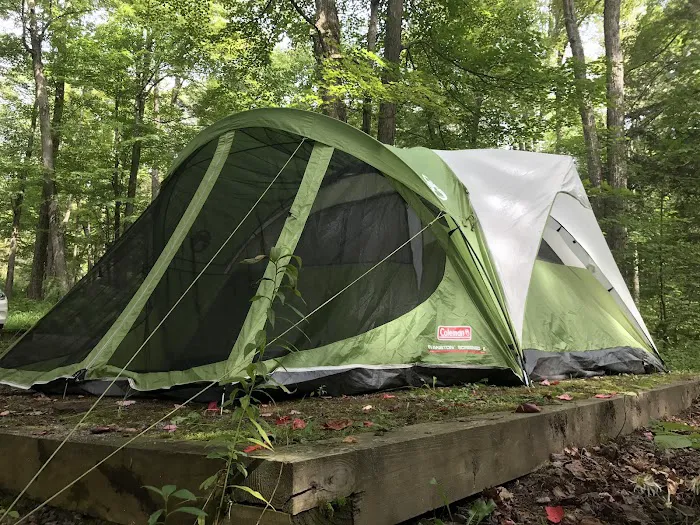 Rhododendron Campground 4
