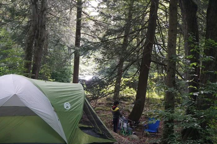 Rhododendron Campground 3