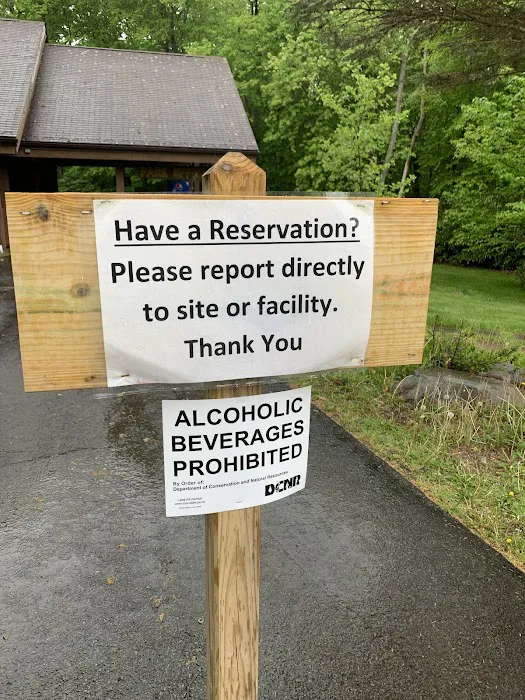 Rhododendron Campground 8