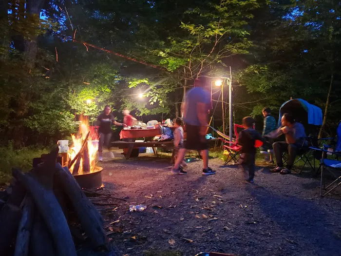 Rhododendron Campground 6