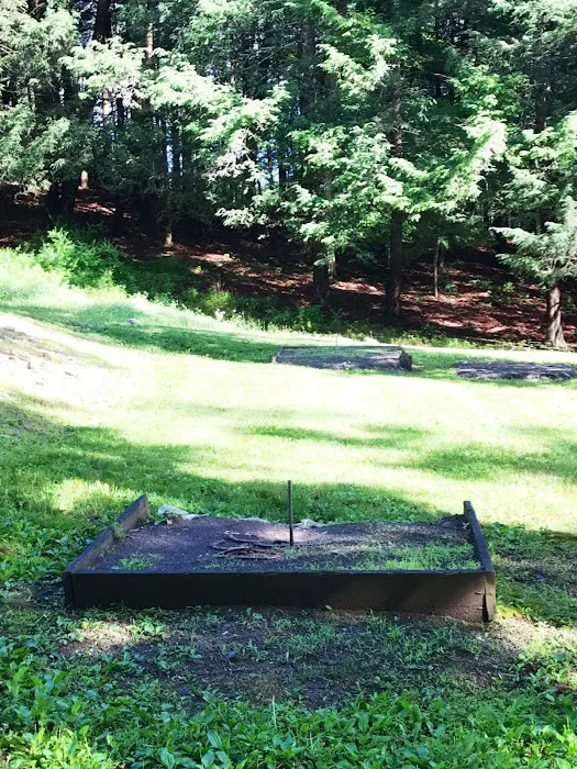 Cranberry Run Campground 6