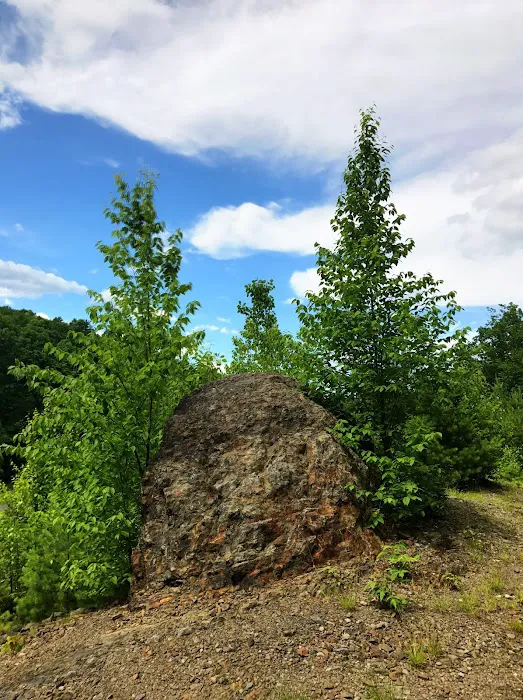 Cranberry Run Campground 5