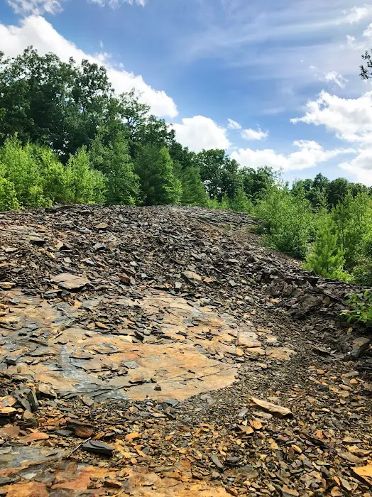Cranberry Run Campground 7