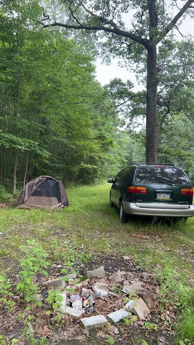 Free Camping/NY State Land 1