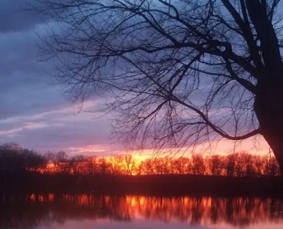 Stiely's Rivershore Campground