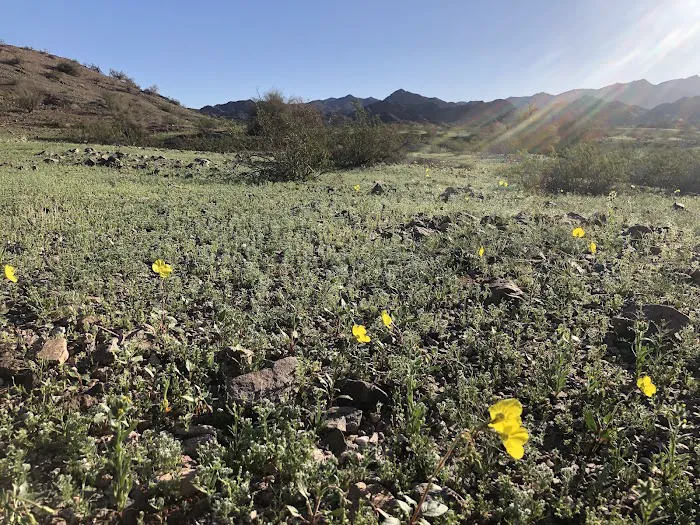 Craggy Wash BLM Land Camping 7