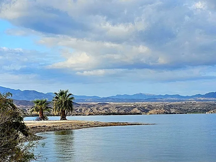 Lake Havasu State Park Campground 0