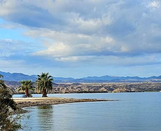 Lake Havasu State Park Campground