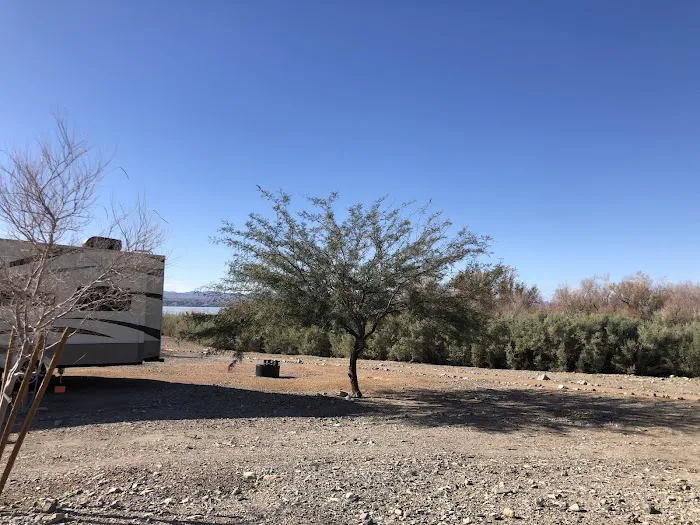 Lake Havasu State Park Campground 5