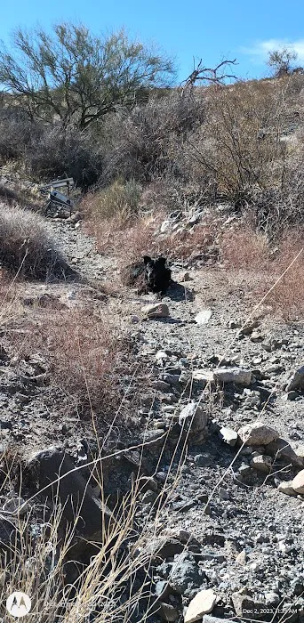 Havasu Gold Seekers Camp 1
