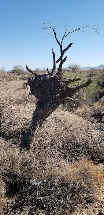 BLM Camping 9