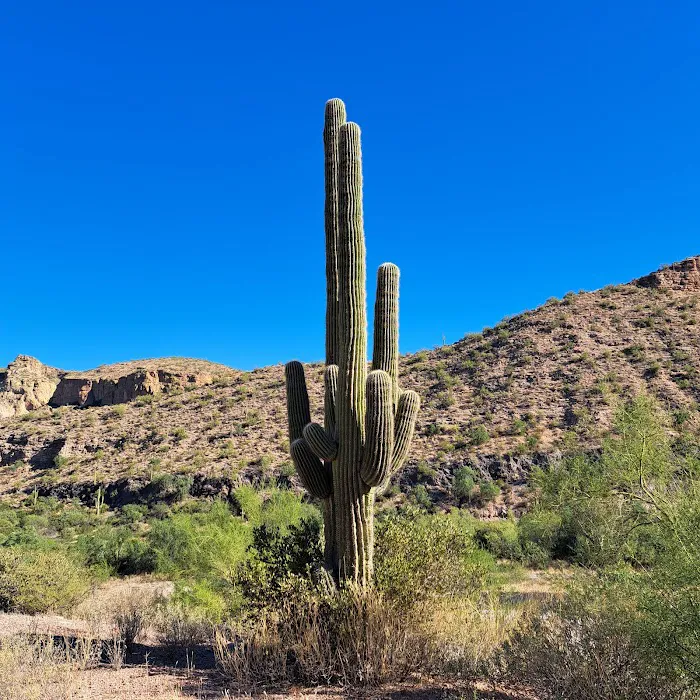 Tortilla Recreation Site 3