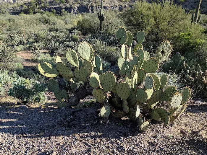 Tortilla Recreation Site 8