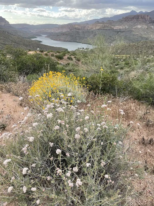 Apache Lake Vista 4