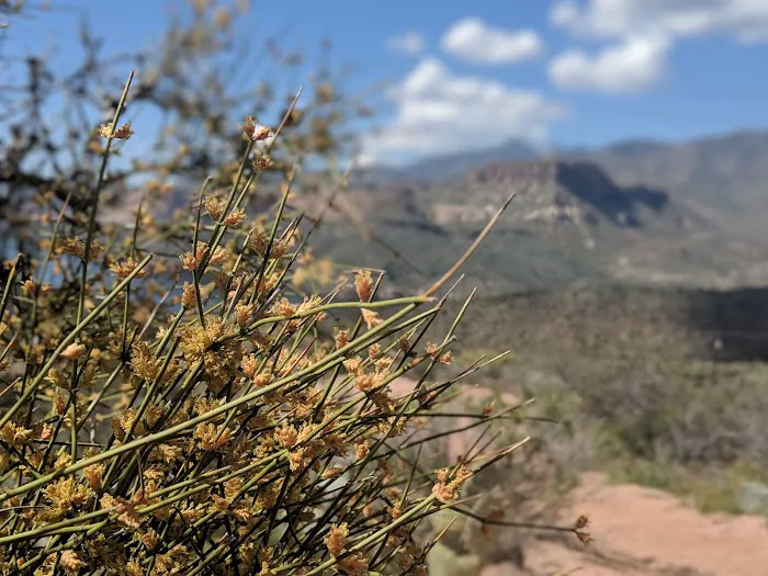 Apache Lake Vista 9