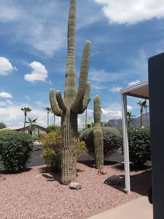 Mesa / Apache Junction KOA Journey 5