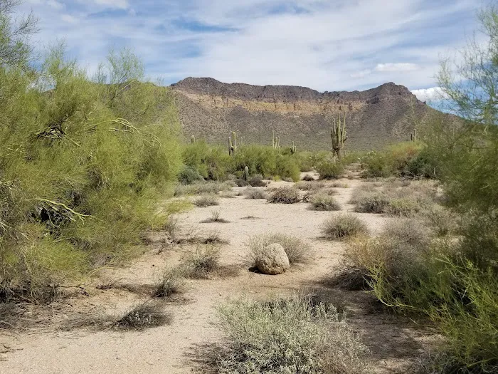 Group Campground A 1