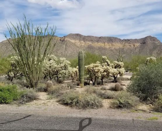 Group Campground A