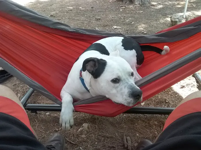 Larson Campground 5