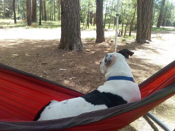 Larson Campground 3