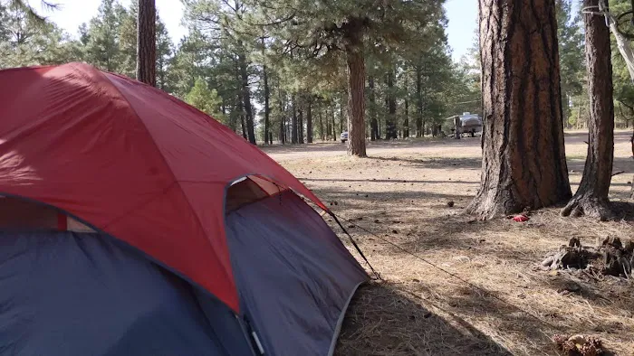 Larson Campground 8
