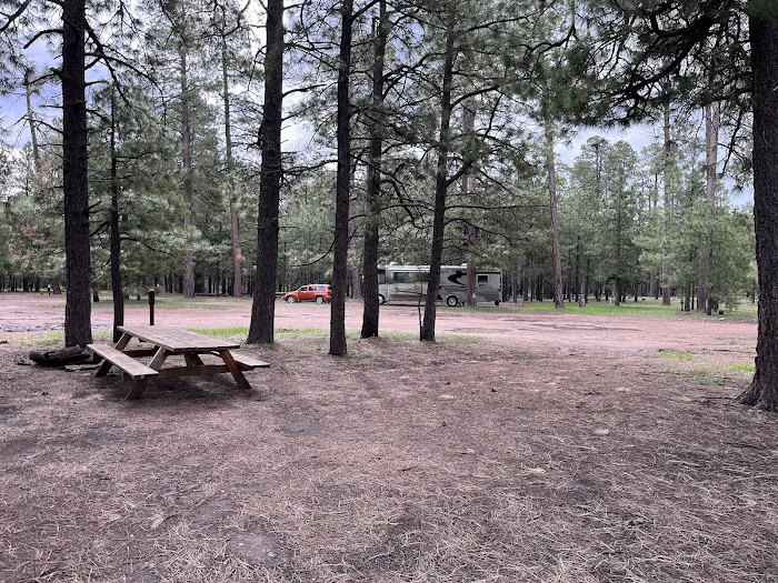 Larson Ridge Camping Area 1