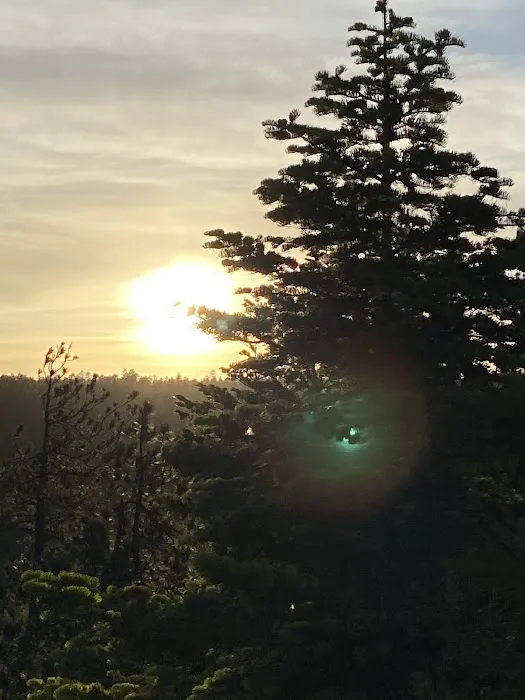 Larson Ridge Camping Area 9