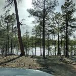 Sardine Point Day Use Area