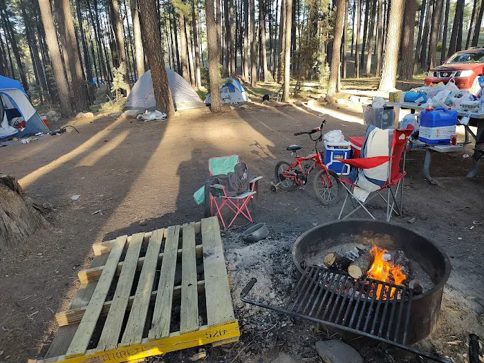 Airplane Flats Campground 0