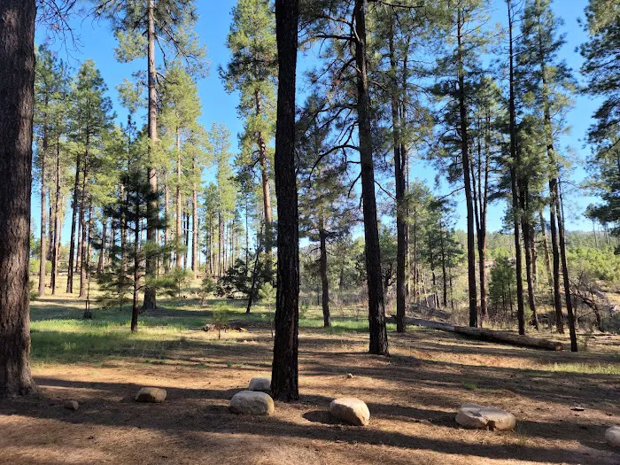 Airplane Flats Campground 1
