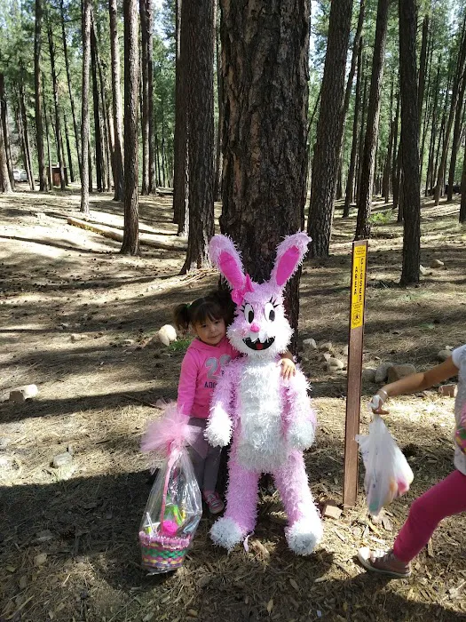 Airplane Flats Campground 4