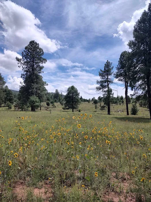 Airplane Flats Campground 6