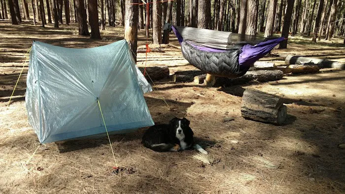 Airplane Flats Campground 8