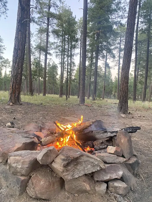Fr 171 Campground 3