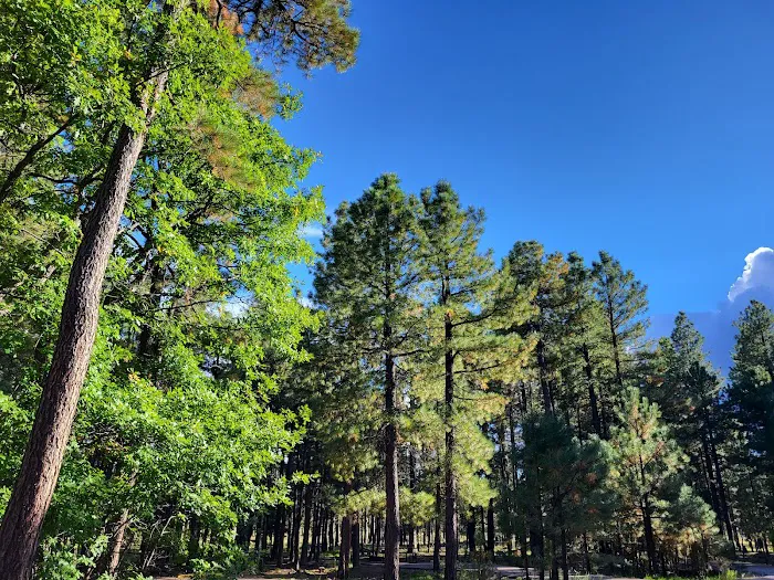 Sinkhole Campground 1