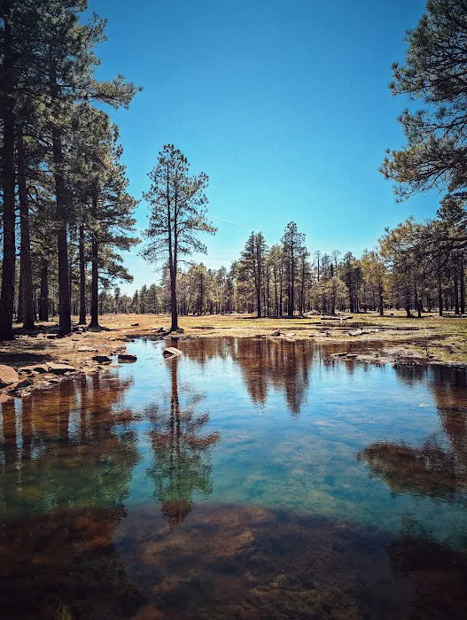 Sinkhole Campground 4