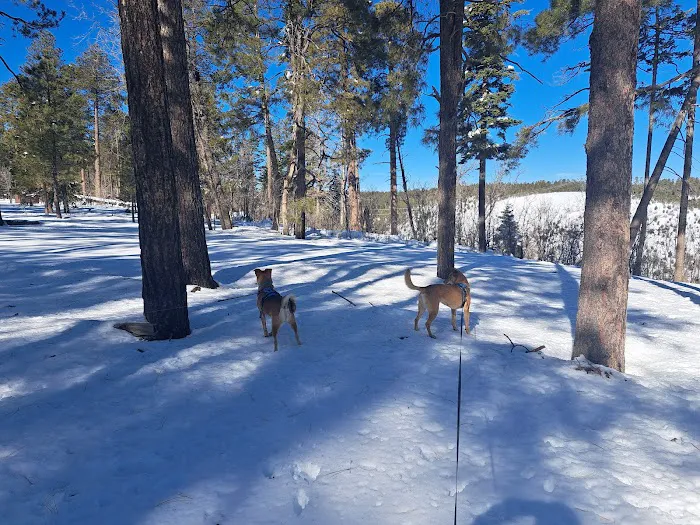 Colcord Ridge Campground 2
