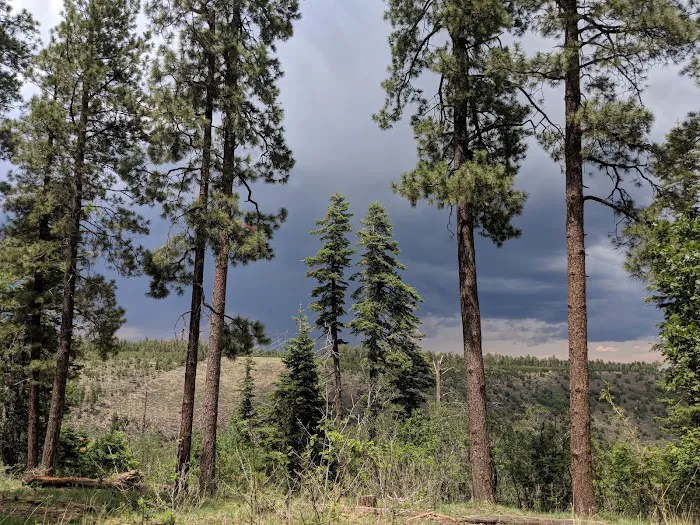 Colcord Ridge Campground 3